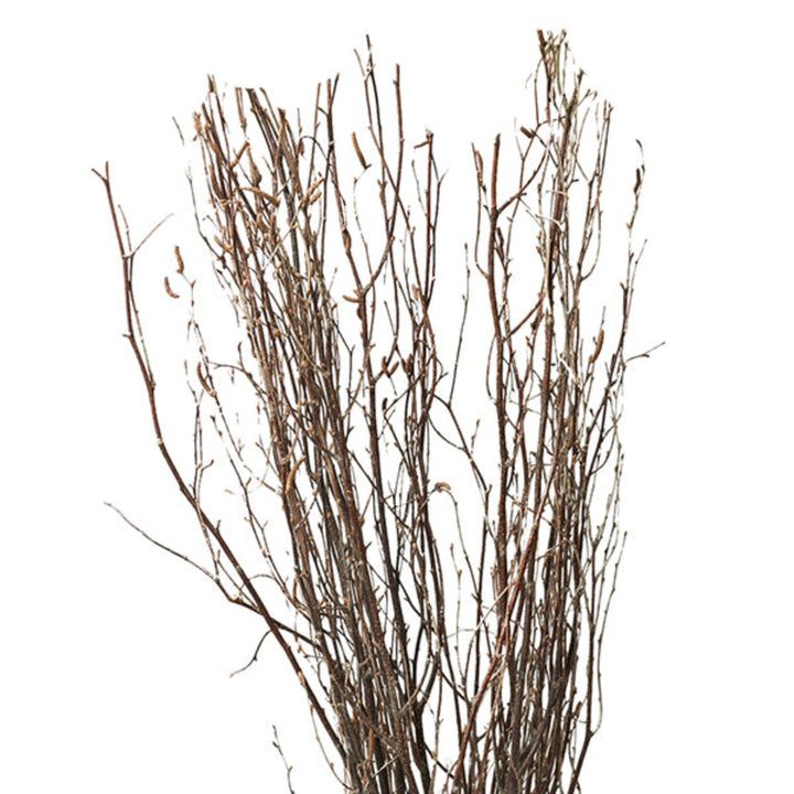Salix Tortuosa flower stems from Fresh Flower Holland, showing 10 natural, twisted willow branches arranged together.