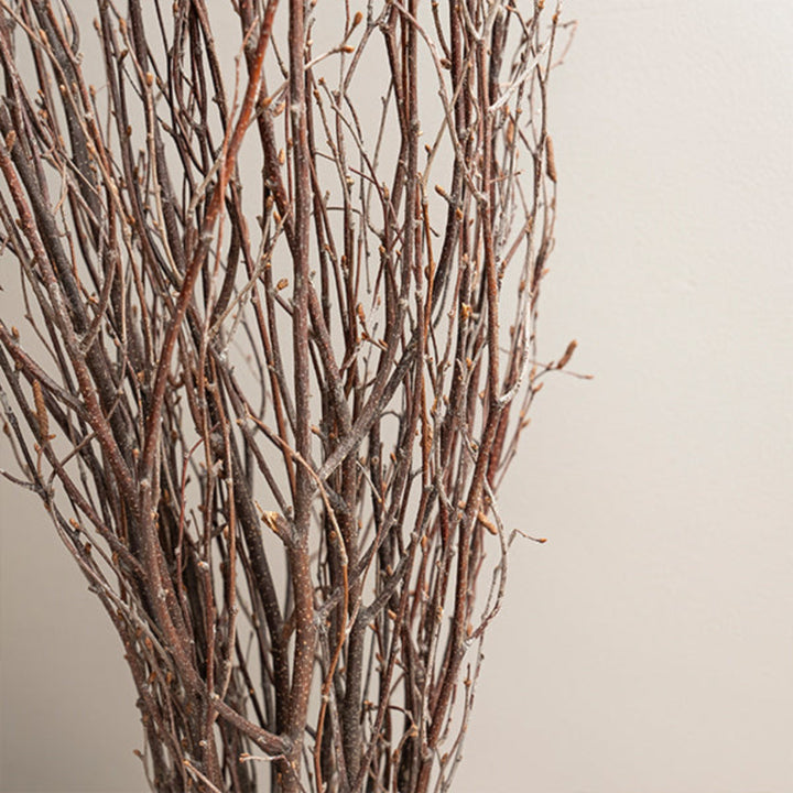Fresh Flower Holland Salix Tortuosa flower stems with twisted, woody branches, arranged in a natural bouquet.