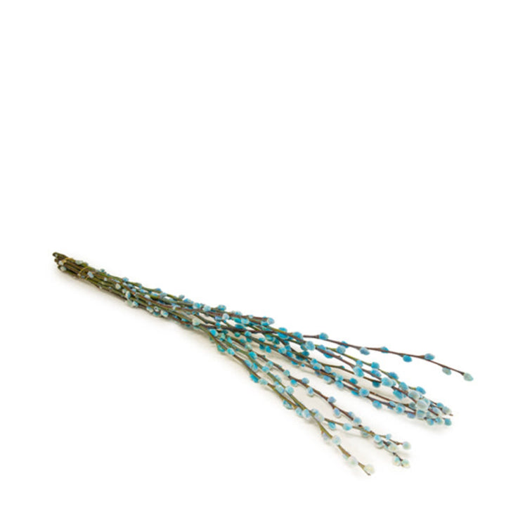 Salix, Bubblegum, 10 Stems - Sharbatly.Club