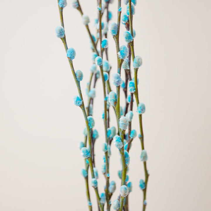 Salix, Bubblegum, 10 Stems - Sharbatly.Club