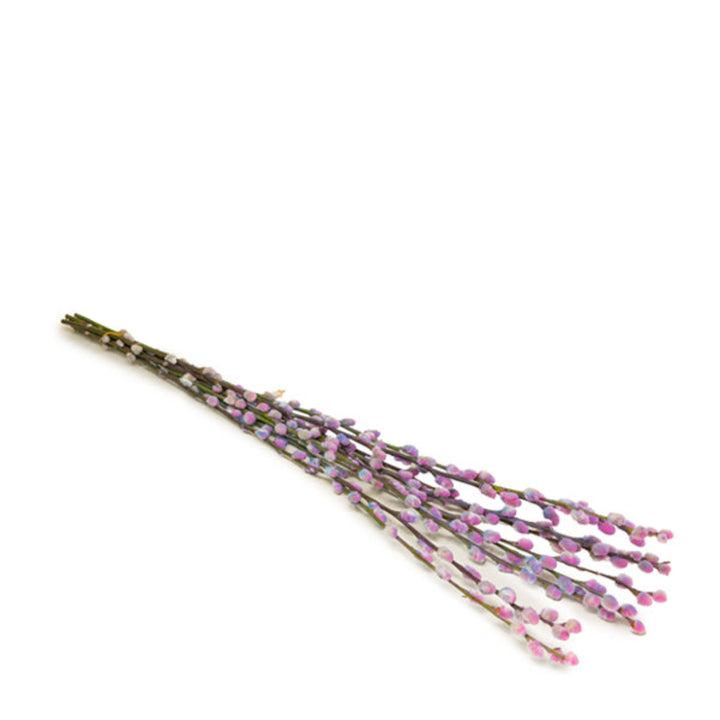 Pink and blue bubblegum Salix flower stems with pussy willow branches, arranged in a natural bouquet by Fresh Flower Holland.