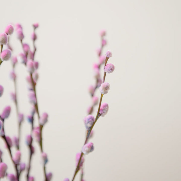 Pink and blue bubblegum Salix and pussy willow flower stems from Fresh Flower Holland arranged in a bouquet.