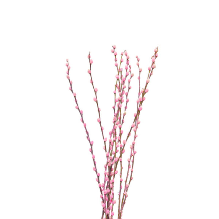 Salix, Pink, 10 Stems - Sharbatly.Club