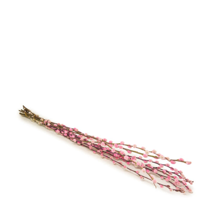 Salix, Pink, 10 Stems - Sharbatly.Club