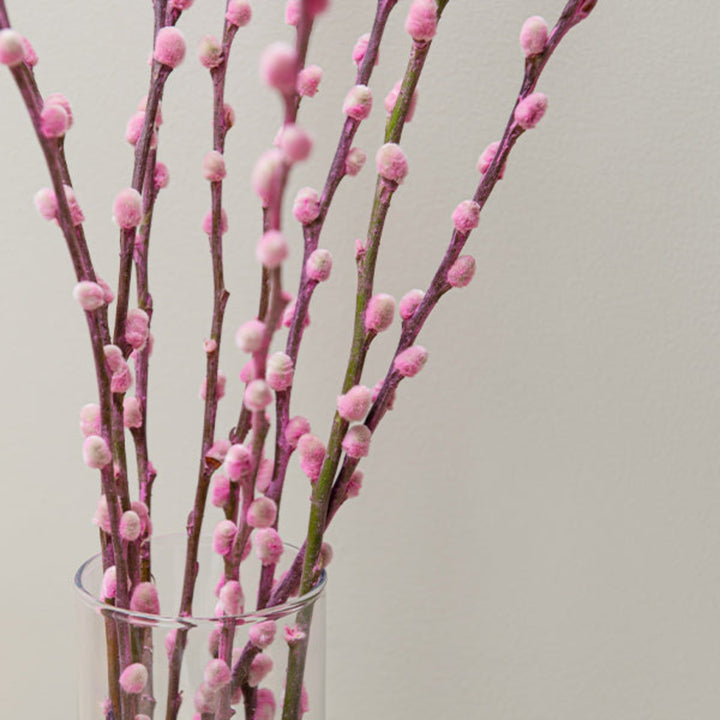 Salix, Pink, 10 Stems - Sharbatly.Club