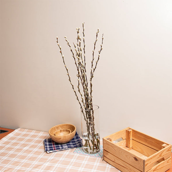 Fresh Snow Flake Salix flower stems from Fresh Flower Holland, showing 10 elegant, frosty branches with delicate snow-like tips.