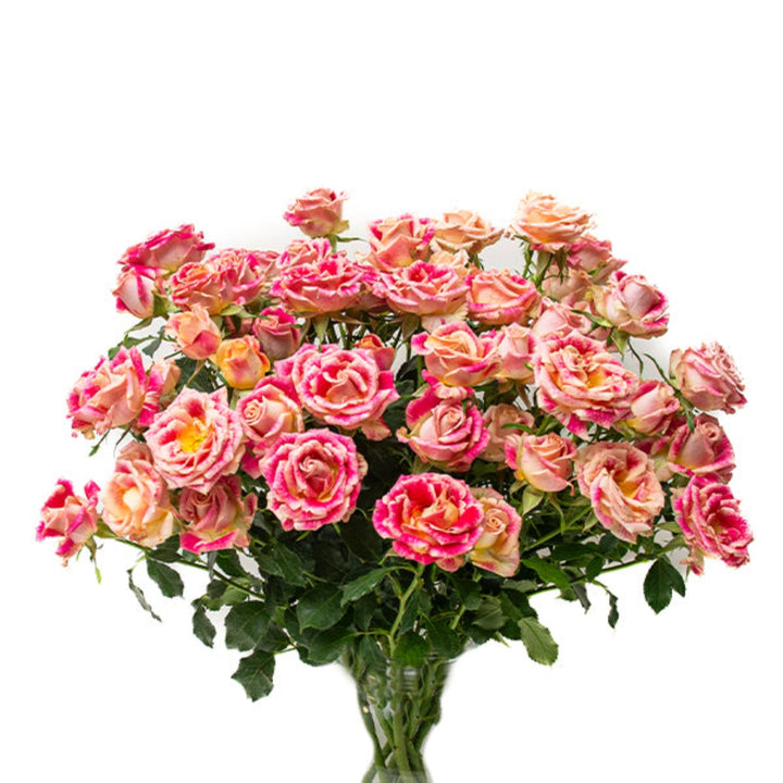 Bouquet of 10 spray roses from Vegpro Kenya, garden-grown flowers with lush green stems and vibrant blooms.