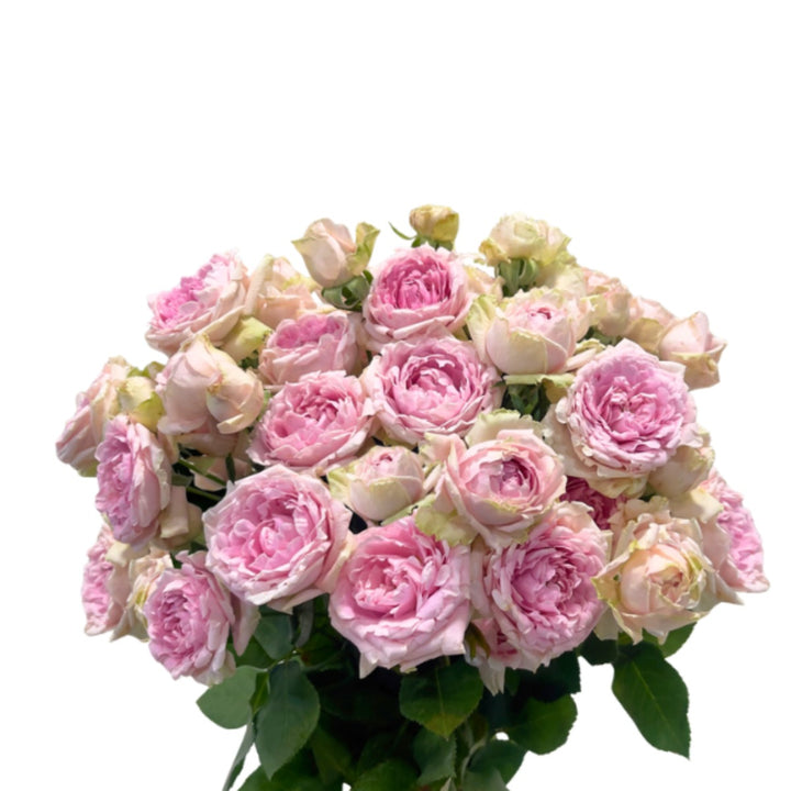 Bouquet of 10 spray roses from Vegpro Kenya in soft candy flow colors, arranged in a garden-style display.