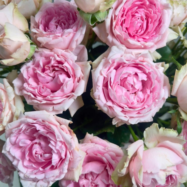 Bouquet of 10 spray roses with candy flow in a garden setting, by Vegpro Kenya, suitable for home and garden decor.