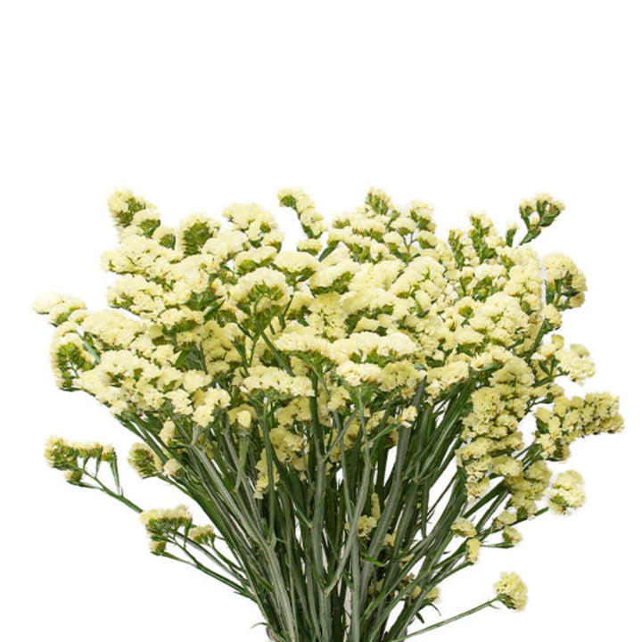 Bright yellow Chinese Statice flowers with glossy cream-colored stems, arranged in a bouquet from SQ Flora Kenya.