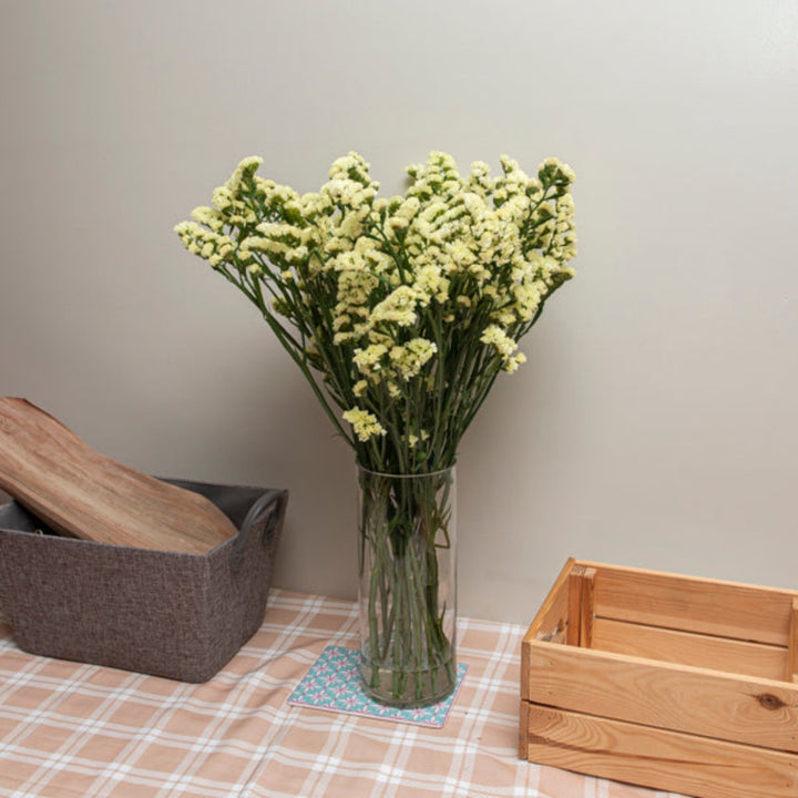 Cream glossy statice flower stems from SQ Flora Kenya, 10 stems of vibrant, shiny flowers for floral arrangements.