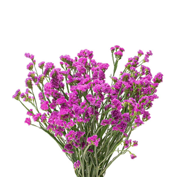 Pink Statice flower stems from Gold Petals China, showing 10 delicate, vibrant blossoms ideal for floral arrangements.