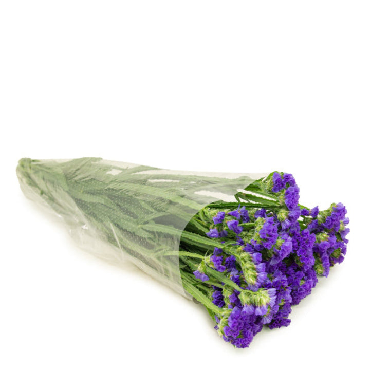 Blue statice flowers from SQ Flora Kenya, 10 stems of vibrant, dried flower bouquet arrangement.