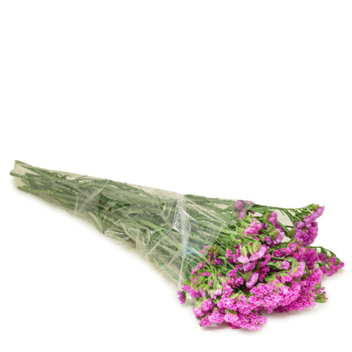 Pink statice flowers from SQ Flora Kenya, showing 10 vibrant flower stems arranged together in the image.