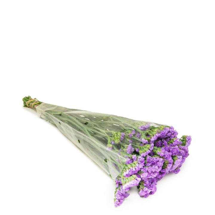 Purple statice flowers from SQ Flora Kenya, 10 stems of vibrant dried or fresh flowers for floral arrangements.