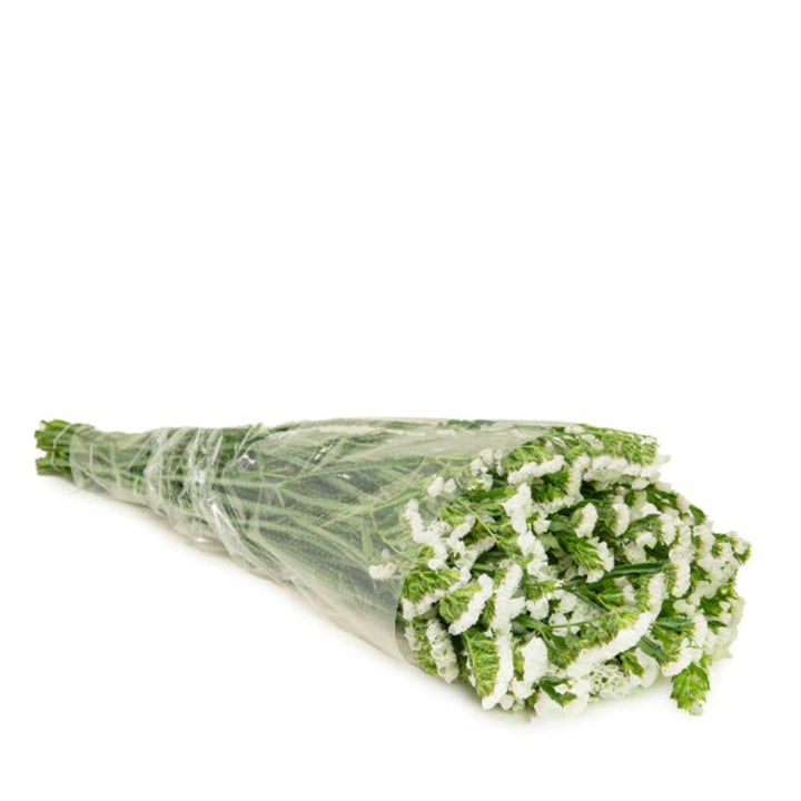 White Statice flowers from SQ Flora Kenya, 10 stems of delicate, dried floral arrangement for decorative use.