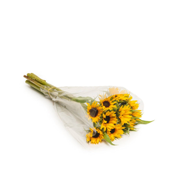 Bright sunflower bouquet with 10 stems in a vase, featuring cheerful yellow blooms from Black Tulip.