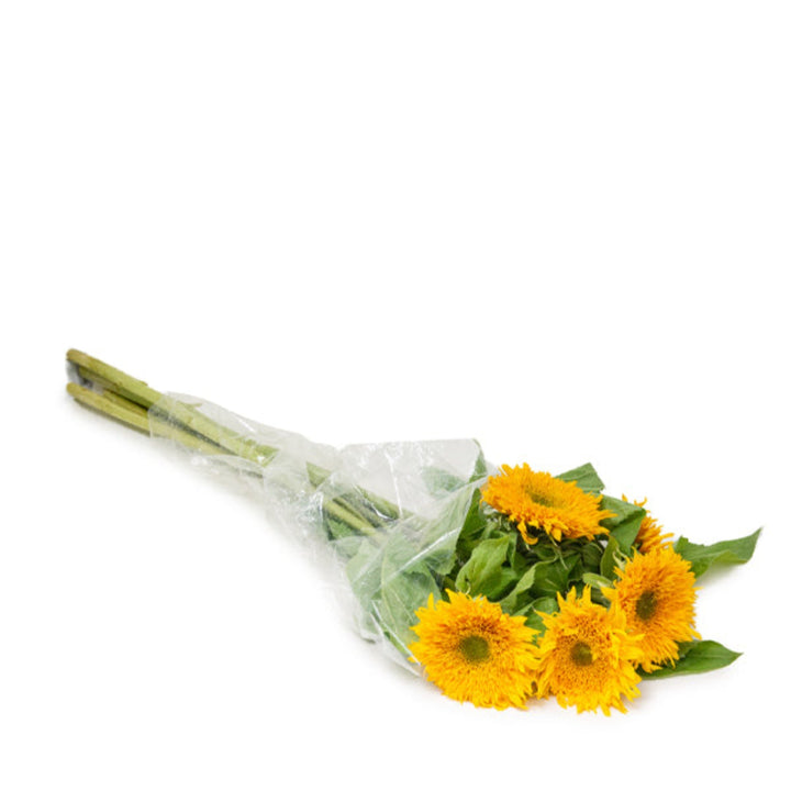 Fresh Flower Holland Gemini Summer sunflower bouquet with 5 stems, vibrant yellow flowers arranged naturally.