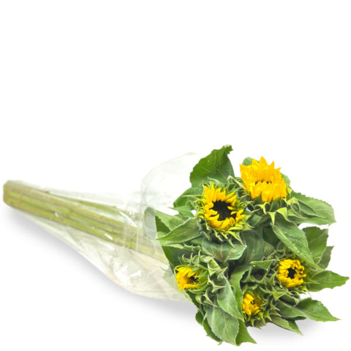 Bright yellow Sunflowers, Sunrich Lemon variety, arranged in a bouquet with five stems from Flowranow.