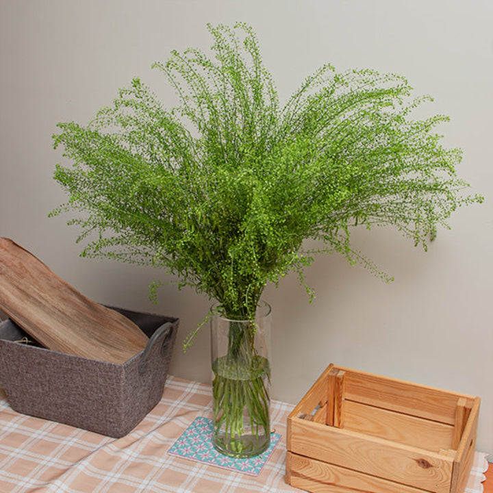 Fresh green Lepidium Thlaspi flower stems with vibrant bell-shaped blooms, arranged in a natural bouquet.