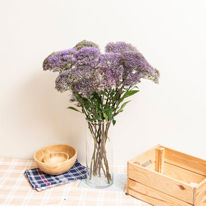Purple Trachelium flower stems arranged in a bouquet, showcasing vibrant blooms and lush green foliage, by Black Tulip.