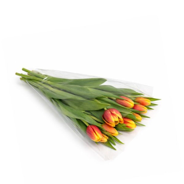Fresh Flower Holland tulips in Denmark with 10 stems, showcasing vibrant, colorful flowers arranged naturally in a bouquet.