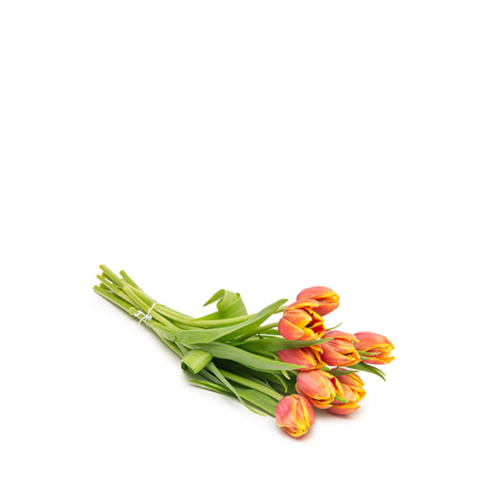 Bright orange tulips from Fresh Flower Holland displayed in a bouquet with 10 stems, showcasing vibrant, fresh flower blooms.