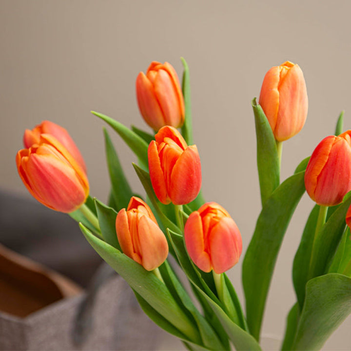 Bright orange tulips from Fresh Flower Holland arranged in a bouquet with 10 stems, showcasing vibrant, fresh spring flowers.