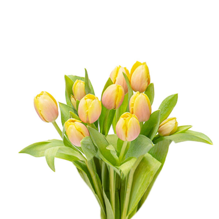 Peach tulips from Fresh Flower Holland arranged in a bouquet, showcasing vibrant color and delicate petals.