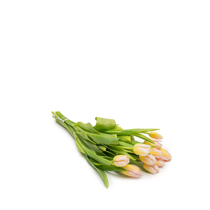 Fresh Flower Holland peach tulips with 10 stems, showcasing vibrant blooms in a natural flower arrangement.