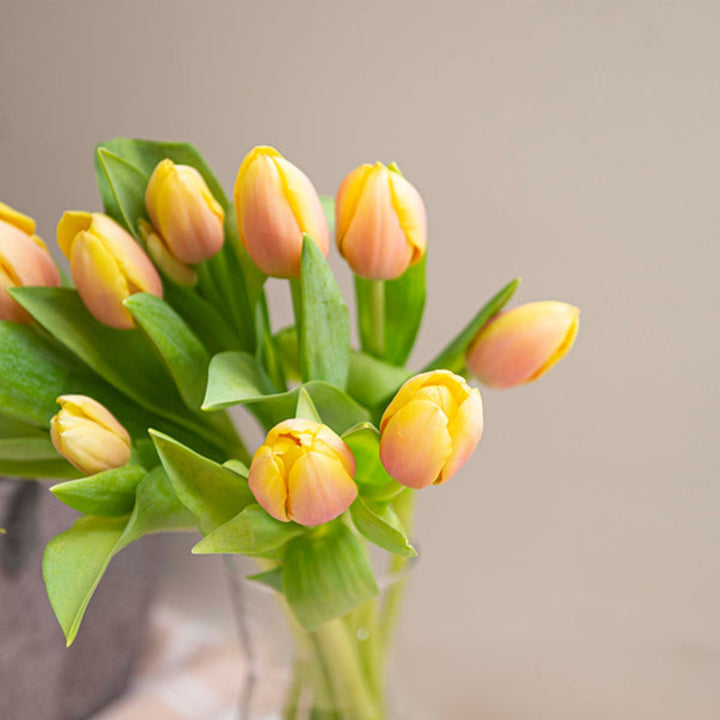 Fresh Flower Holland peach tulips with 10 stems, vibrant blooms and green leaves, arranged in a natural bouquet.