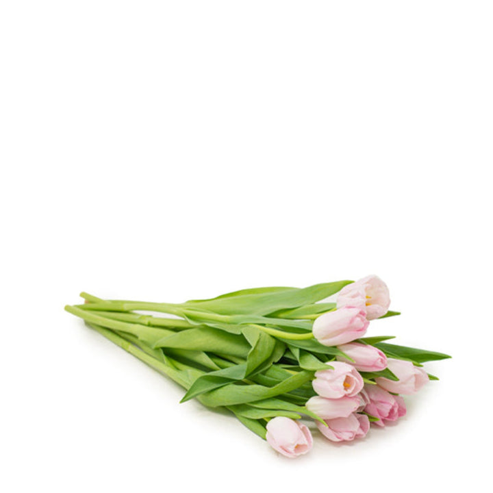 Pink Dynasty tulips from Fresh Flower Holland, 10 stems, vibrant flowers with green leaves in a natural arrangement.