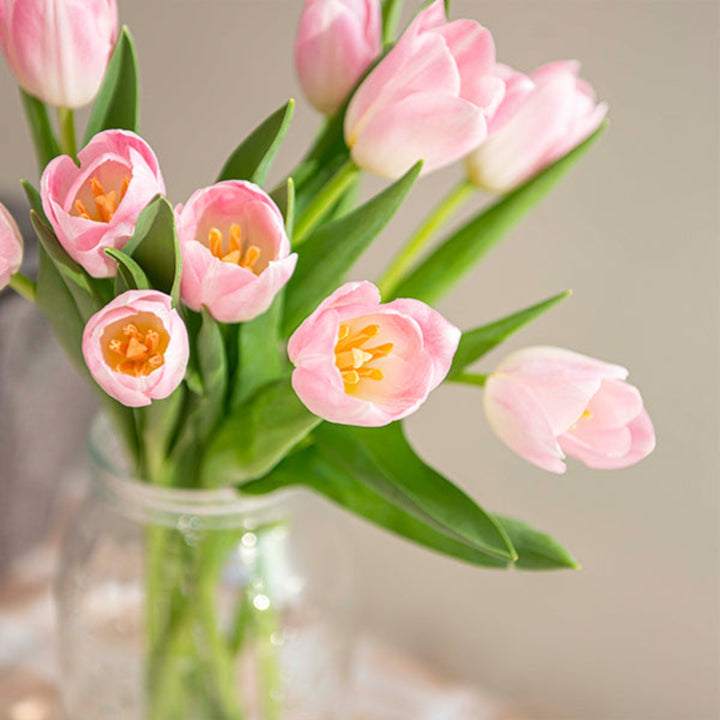 Pink Tulips from Dynasty by Fresh Flower Holland, 10 stems of vibrant, fresh flower blooms arranged in a natural bouquet.