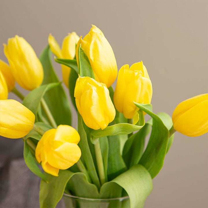 Bright yellow tulips from Fresh Flower Holland, 10 stems of vibrant, strong gold flowers arranged in a natural bouquet.