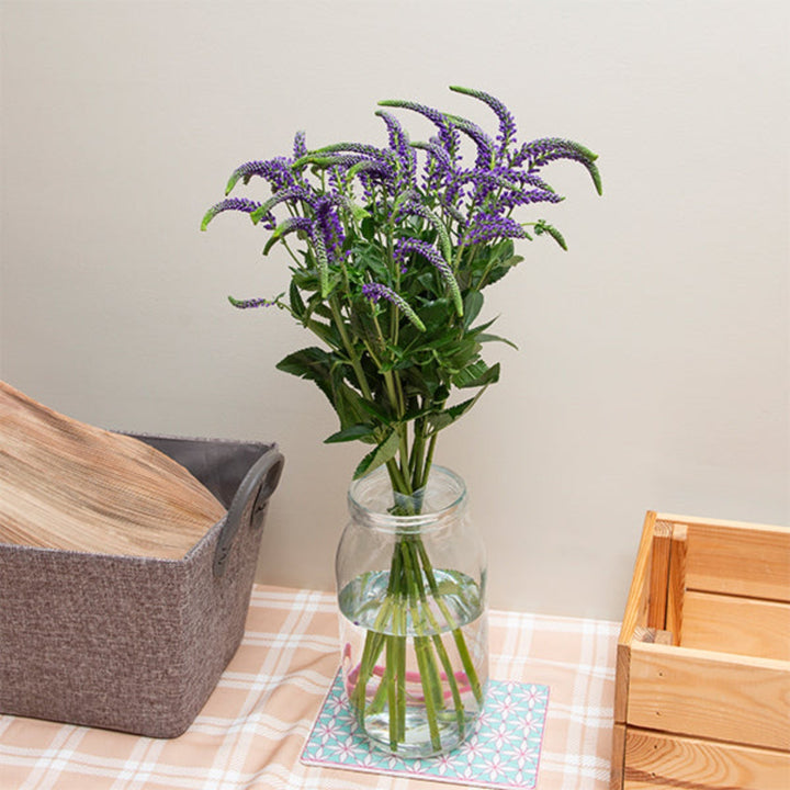 Purple Veronica spray flowers from Black Tulip with 10 stems, showcasing vibrant, delicate flower clusters on slender stems.