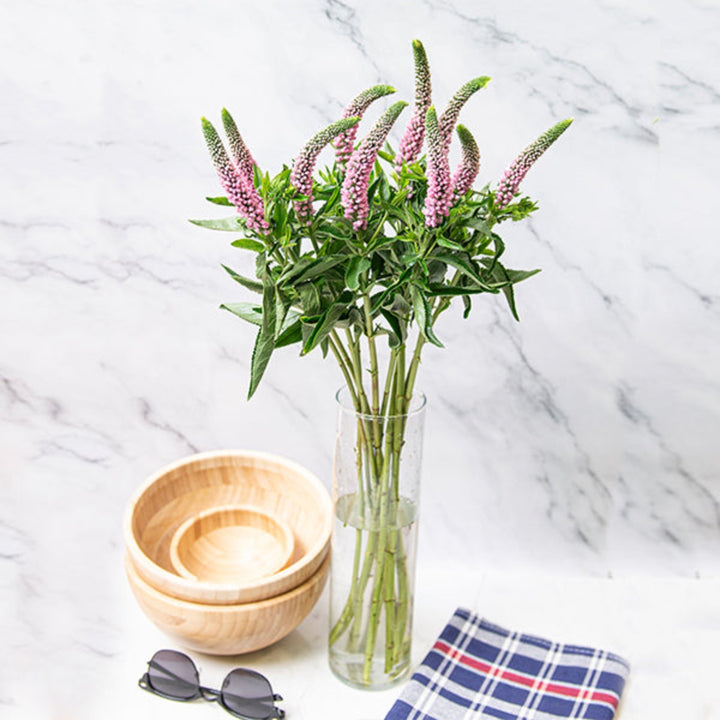 Light pink Veronica flowers from Fresh Flower Holland, featuring 10 stems with delicate, elongated blossoms on slender stems.
