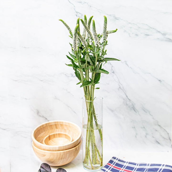 Fresh White Veronica flower stems, 10-pack by Fresh Flower Holland, showing vibrant, delicate blooms arranged in a natural display.