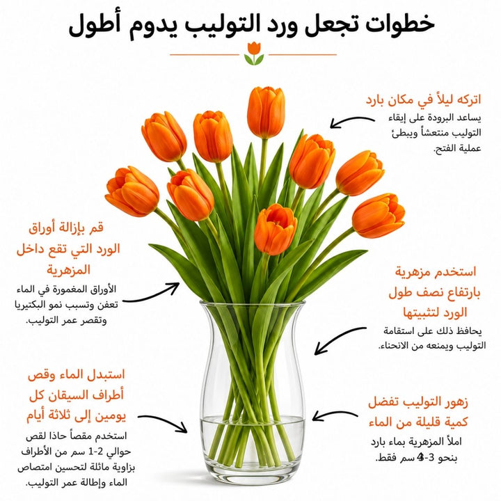 Arabic tulip care guide with water, trimming and vase instructions, from Sharbatly.