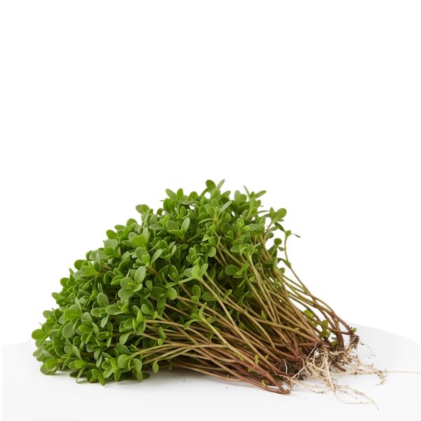 Fresh purslane vegetable bunch from Local Market, showcasing vibrant green leaves and tender stems.