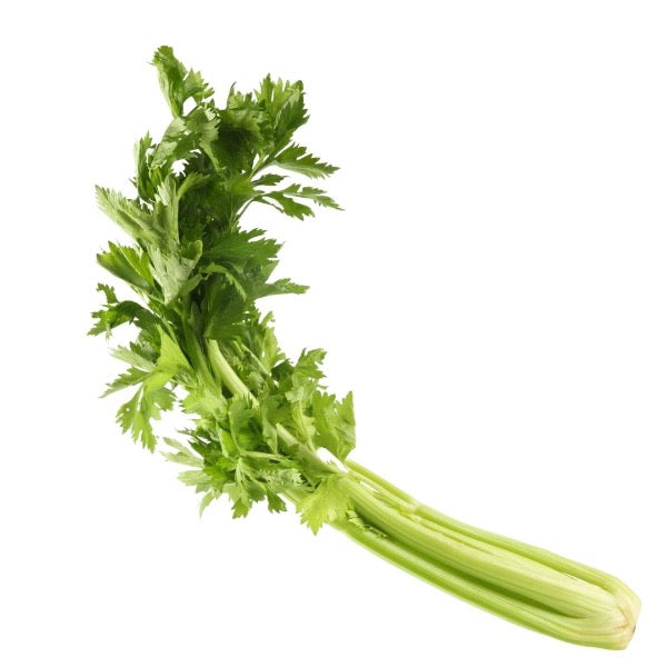 Fresh celery green leafy vegetable bunch from Local Market, showing vibrant leaves and stalks on a white background.