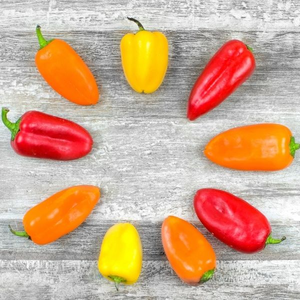 Fresh Mahasil Sweetbite baby mixed peppers in a 0.25 kg vegetable pack, showcasing colorful, crisp peppers on a white background.