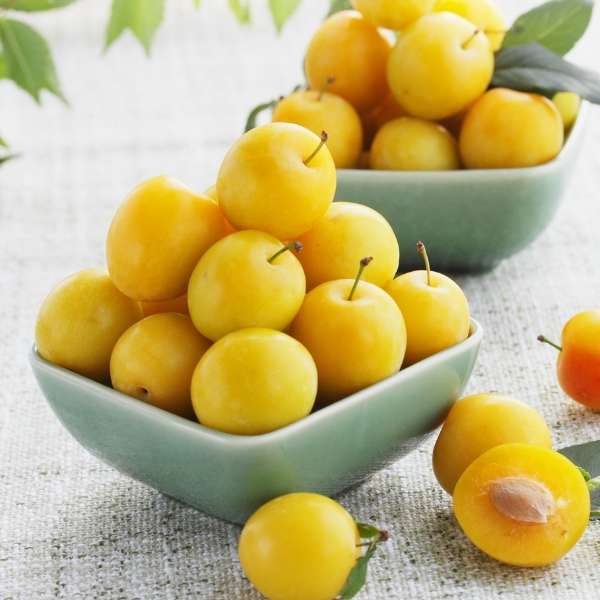Golden plums from Sharbatly in a 1 kg pack, showcasing ripe, fresh fruit with smooth, golden skin.