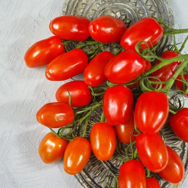 Fresh baby San Marzano Roma tomatoes on the vine from Holland, in a 0.4 kg vegetable pack.