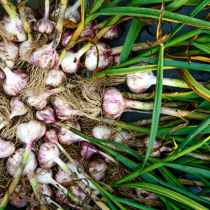 White garlic bulbs from Sharbatly in a 0.2 kg bag, fresh vegetable with papery skins and cloves visible.