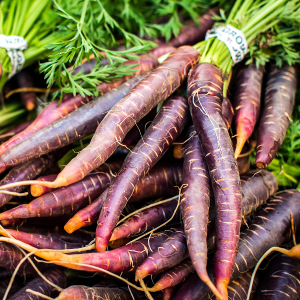 Fresh purple and violet carrots in a 1 kg pack, organic Holland vegetables with vibrant colors and leafy tops.