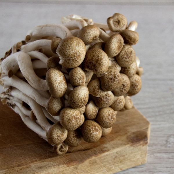 Brown Mushroom Shimeji vegetable pack from Holland, 0.150 kg, showing fresh, clustered brown Shimeji mushrooms.