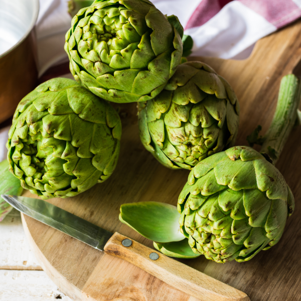 Single globe artichoke vegetable from Holland, fresh and green, showcasing its layered leaves and tender interior.
