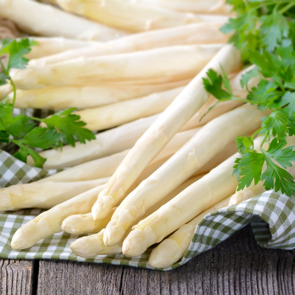 Fresh white asparagus bunch from Holland, 0.5 kg, showcasing long, tender spears with smooth, pale stems.