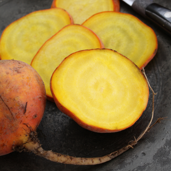 Golden beetroot vegetable from Holland in a 1 kg pack, showcasing fresh, vibrant golden roots on a white background.