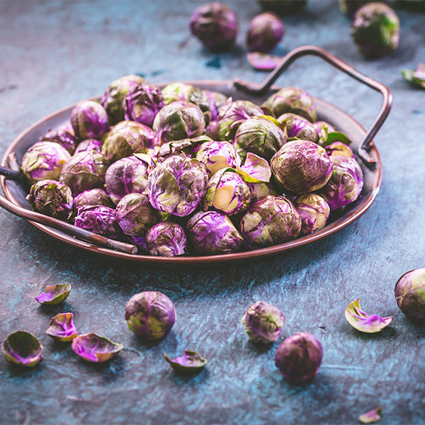 Fresh baby purple Brussels sprouts from Holland in a 0.5 kg pack, showcasing vibrant purple-green vegetable heads.